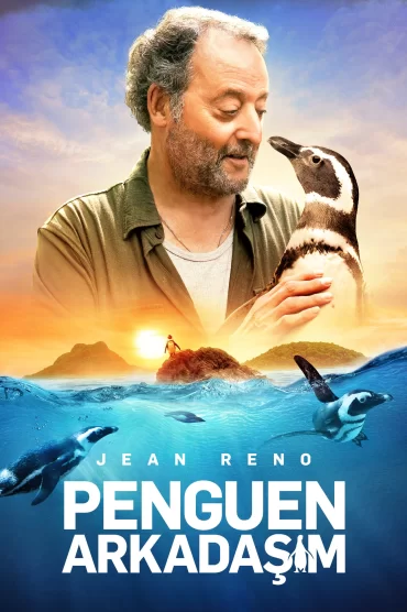 My Penguin Friend
